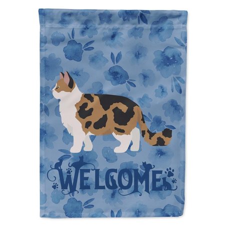 CAROLINES TREASURES 28 x 0.01 x 40 in. Ragamuffin No.2 Cat Welcome Flag Canvas House Size CK4957CHF